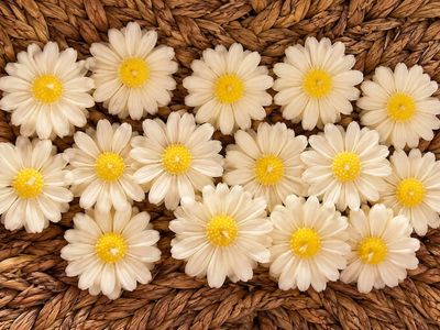 Daisy Candle 1