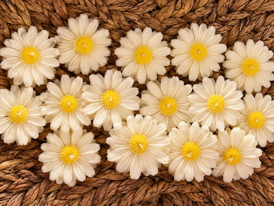 Daisy Candle 1